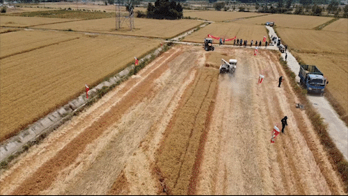 4b24c3875cc14c9f8386d316e78a2db6