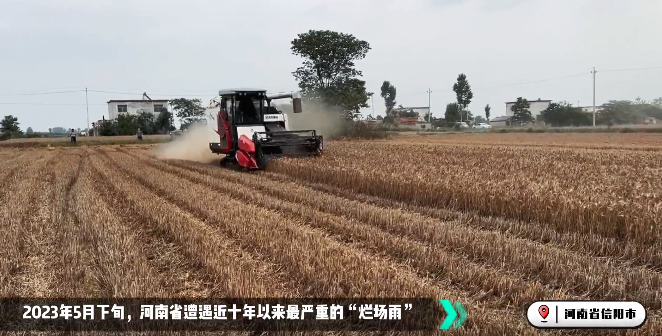 麦收大会战！bti体育收成机忙！忙！忙！