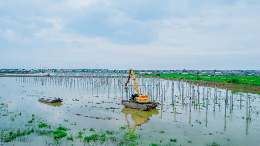 bti体育平台·(中国)官方网站