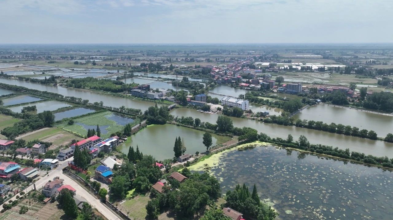 bti体育平台·(中国)官方网站