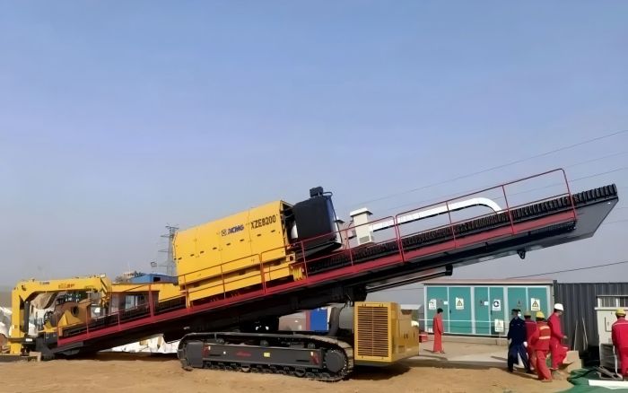 春植但愿，索求bti体育“绿色力量”！