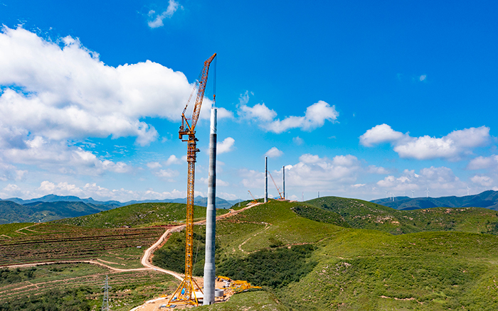 c02d3b7b47f4426d9d5adda80795f923