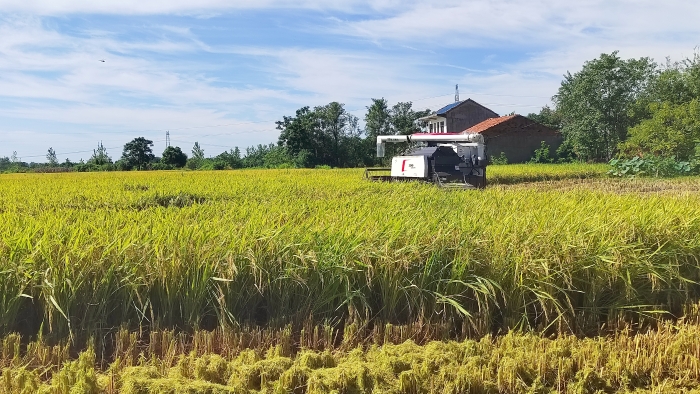 6640c5a74faa434fb1c5d14bfd57b9d3