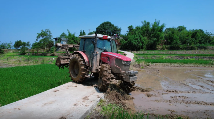 15246811d43f40e69d918b04c2968105